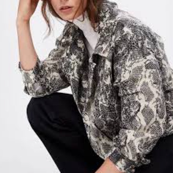 ZARA Snake Animal Print w Belt Buckle 1/2 Zipper Biker Moto Biker Jacket Sz M - Picture 3 of 16